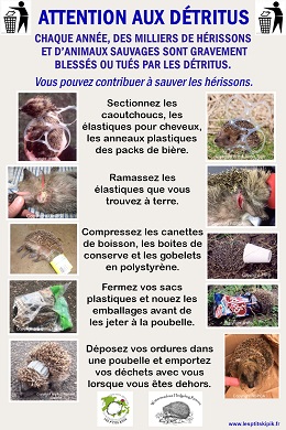Attention aux detritus
